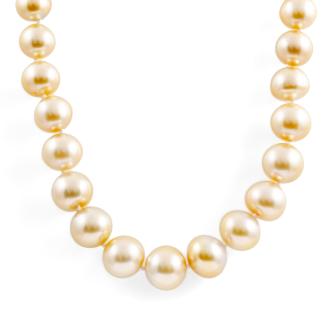 Golden South Sea Pearl Necklace