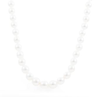 11.6-8.0mm Autore SS Pearl Necklace