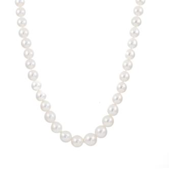 14.6-11.0mm Autore SS Pearl Necklace